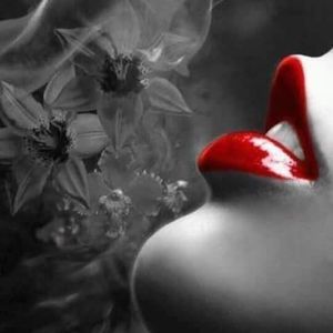 Meet your Posher, Molina